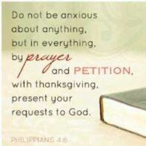 Meet your Posher, Paul